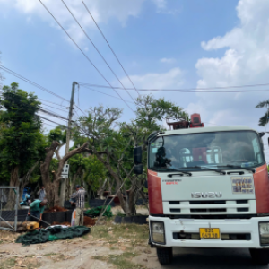 phuc-thanh-an-dich-vu-van-chuyen-vat-tu-san-vuon-chuyen-nghiep